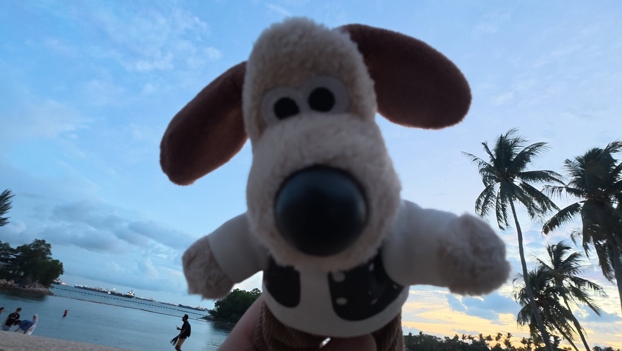 掌门狗在海边眺望